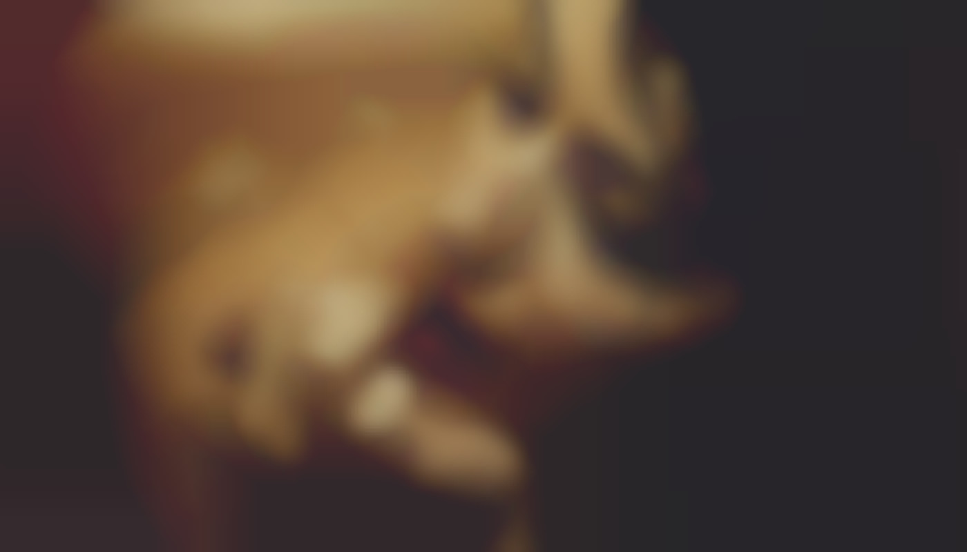Comment les services d'escorts influencent-ils la perception sociale ?
